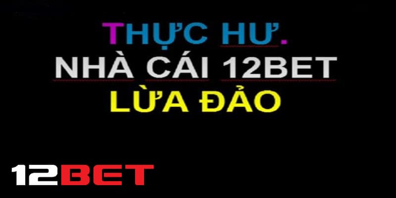 Đánh giá từ các nguồn uy tín